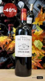 Château de Viens